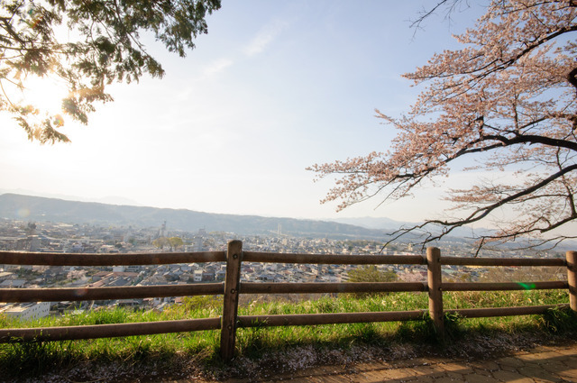 あの花羊山公園.jpg